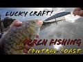 Surf Fishing Central Coast for Slab Perch [Part 2 of 3] Lucky Craft