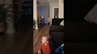 Famous This is what it is like having siblings Profile