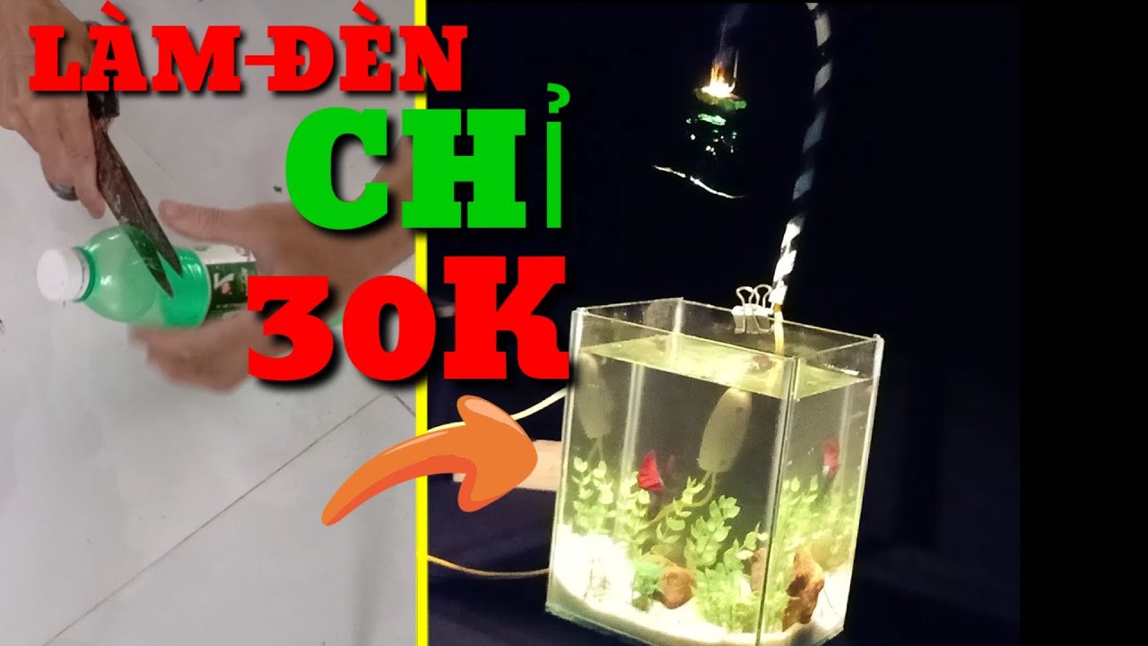 Chế đèn cho hồ cá betta giá rẻ 30K #cabetta #hocaphat - youtube
