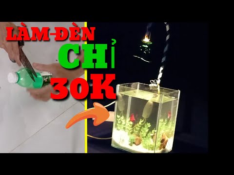 Video Chế đèn cho hồ cá betta giá rẻ 30K #cabetta #hocaphat - youtube