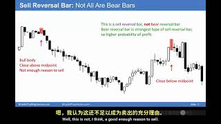 P17 08B K线、交易设置与信号柱 阿尔布鲁克斯 I【中英⚡价格行为基础 Price A    360P