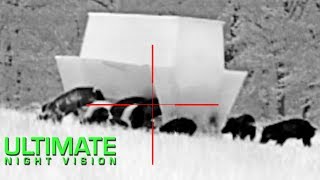 Night Vision Hog Hunting | 60 Hogs Down with the Insight LWTS & White Phosphor NV