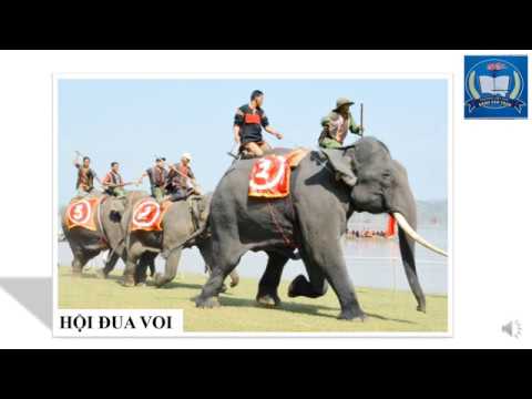 Video Luyện từ và câu (Tuần 26) - Mở rộng vốn từ: Lễ hội. - YouTube