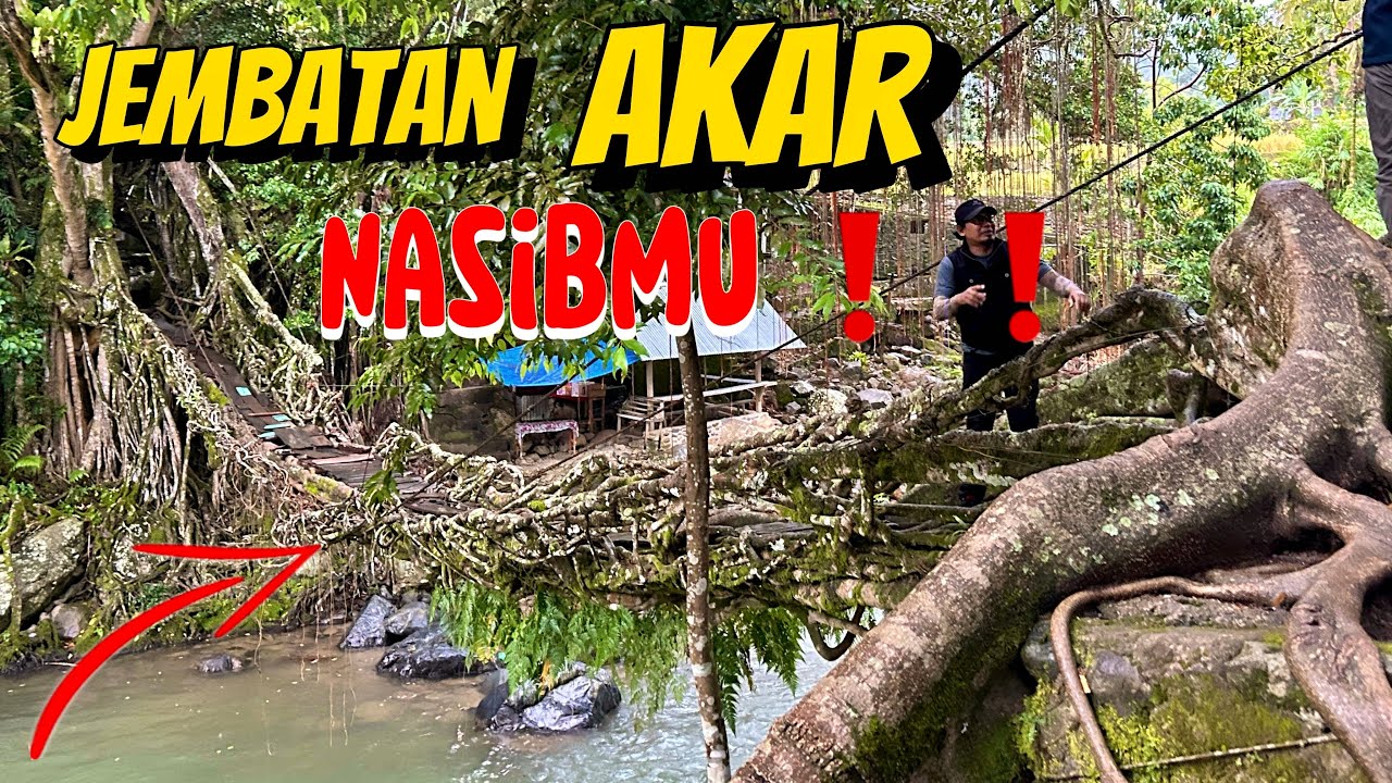 HANYA ADA 2 INDONESIA ❗️❗️SALAH SATUNYA DI SUMATERA BARAT JEMBATAR AKAR BERINGIN DI PESISIR SELATAN
