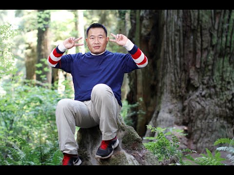 Video: Yuav kaj ntug redwood ntoo loj npaum li cas?