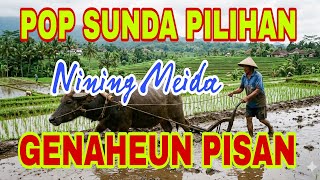 Best of Nining Meida 2026: The Most Enjoyable Sundanese Songs to Listen to While Relaxing