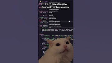 🤣PROGRAMADORES VS LUZ BLANCA🤣 #meme #viral #python #programming #programacion #memes