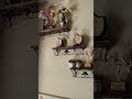 #meeshoshopping #youtube #ytshorts