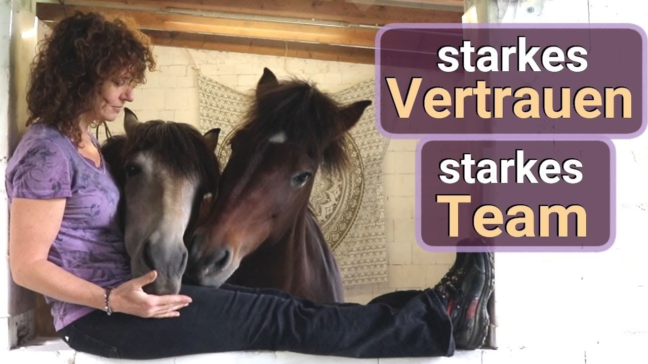 So gewinnst du wirklich das Vertrauen deines Pferdes