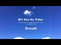 涙の Blue Sky Walker /Breath オリジナル