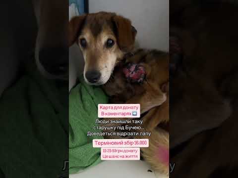 Терміновий збір #україна #тренди #популярне #музика #новини #блог #влог #український #сьогодні #топ