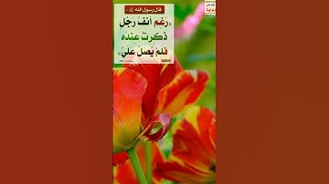 القرآن الكريم "تلاوة خاشعة سورة القلم لشيخ سعود الشريم holy quran