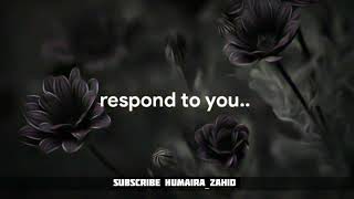 quran quotes whatsapp status english | Islaam status video 2023 screenshot 4