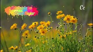 Shalawat Addinulana by Dewi Hajar