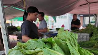 FDA backtracks in cyclospora investigation: The News4 Rundown | NBC4 Washington
FDA backtracks in cyclospora investigation: The News4 Rundown | NBC4 Washington FDA backtracks in cyclospora investigation: The News4 Rundown | NBC4 Washington
