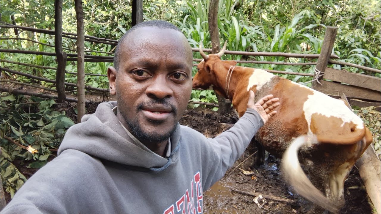 Village life in meru county|Not what I expected!!