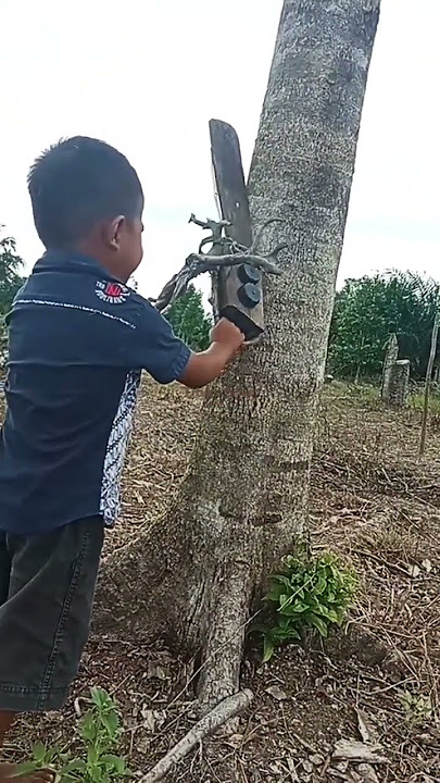 Viral Anak Tiru Suara Sinso
