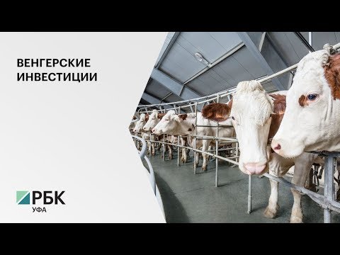 Крупнейшая сельхозкомпания Венгрии вложит в производство молока в РБ 6,2 млрд руб.