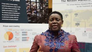 Celebrity Prisoner rehabilitation: Uju Agomoh, UNODC Nigeria (Part 1) Profile