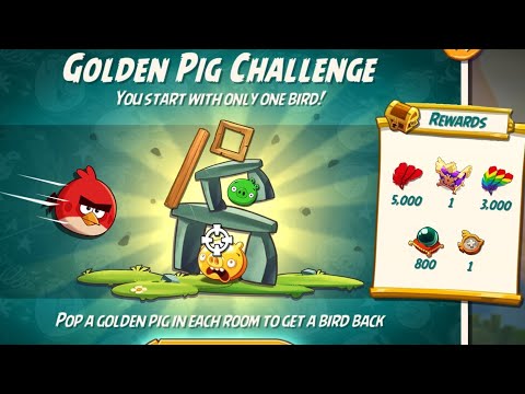 Angry birds 2 the golden pig challenge 11 oct 2023 with red #ab2 Golden pig challenge today