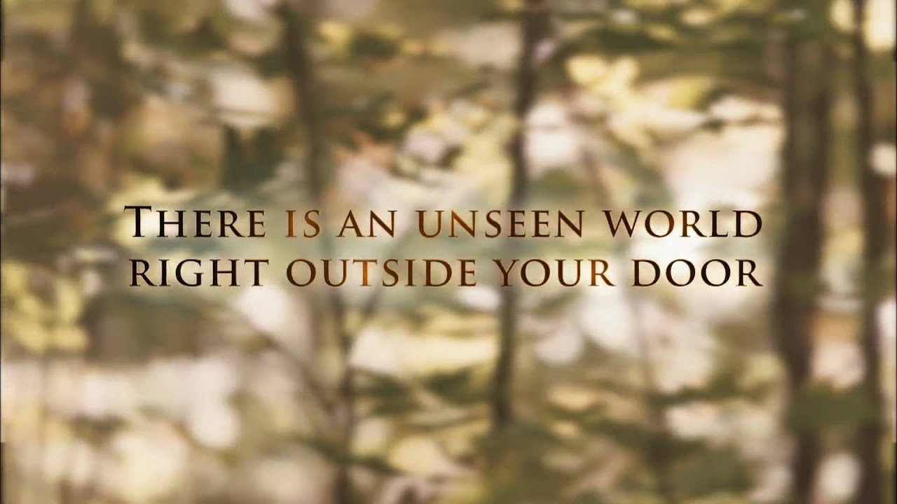 The Spiderwick Chronicles Movie Trailer HD YouTube