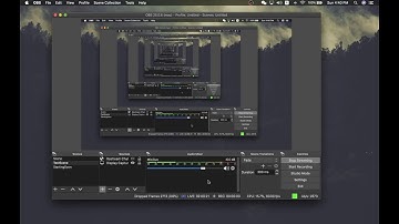 Inventory System Live Stream