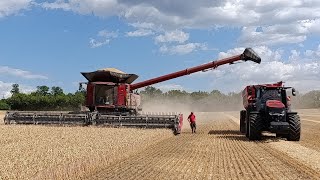 Case AF10 & Case Magnum 400 + Perard Interbenne 30 / CASE AF 10 DEMO TOUR 2026