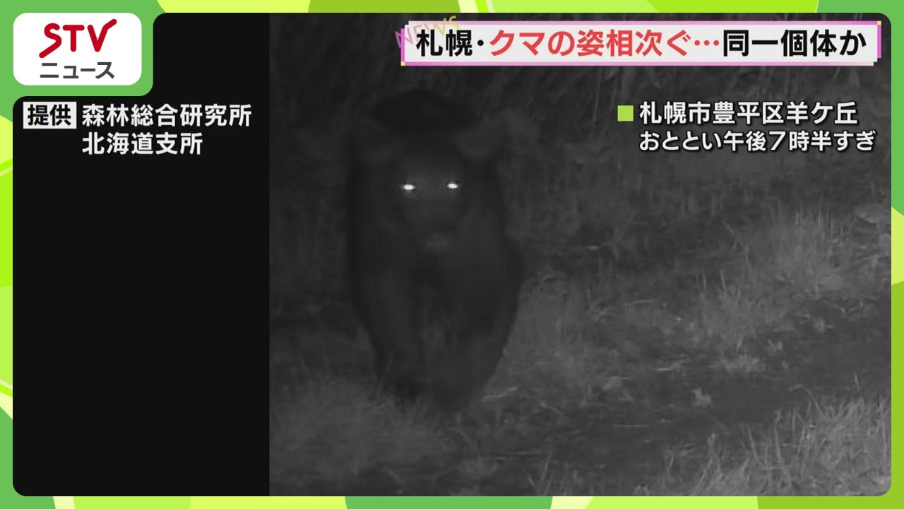 A bear was spotted on a fixed camera; it may be the same bear that