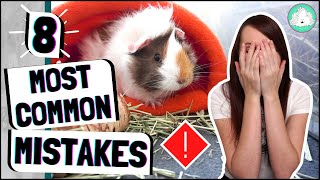 8 Most Common Guinea Pig Care Mistakes Owners Make and How To Fix Them!