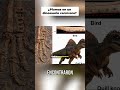 ¡Dinosaurio con plumas! El hallazgo que revoluciona la paleontología #shorts