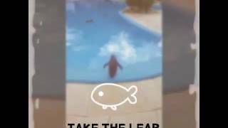 The Mini Missionary - First Video