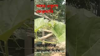 একুশে।#t2today #funny #reels #tranding #election #bangladesh #yes #people #highlights #news