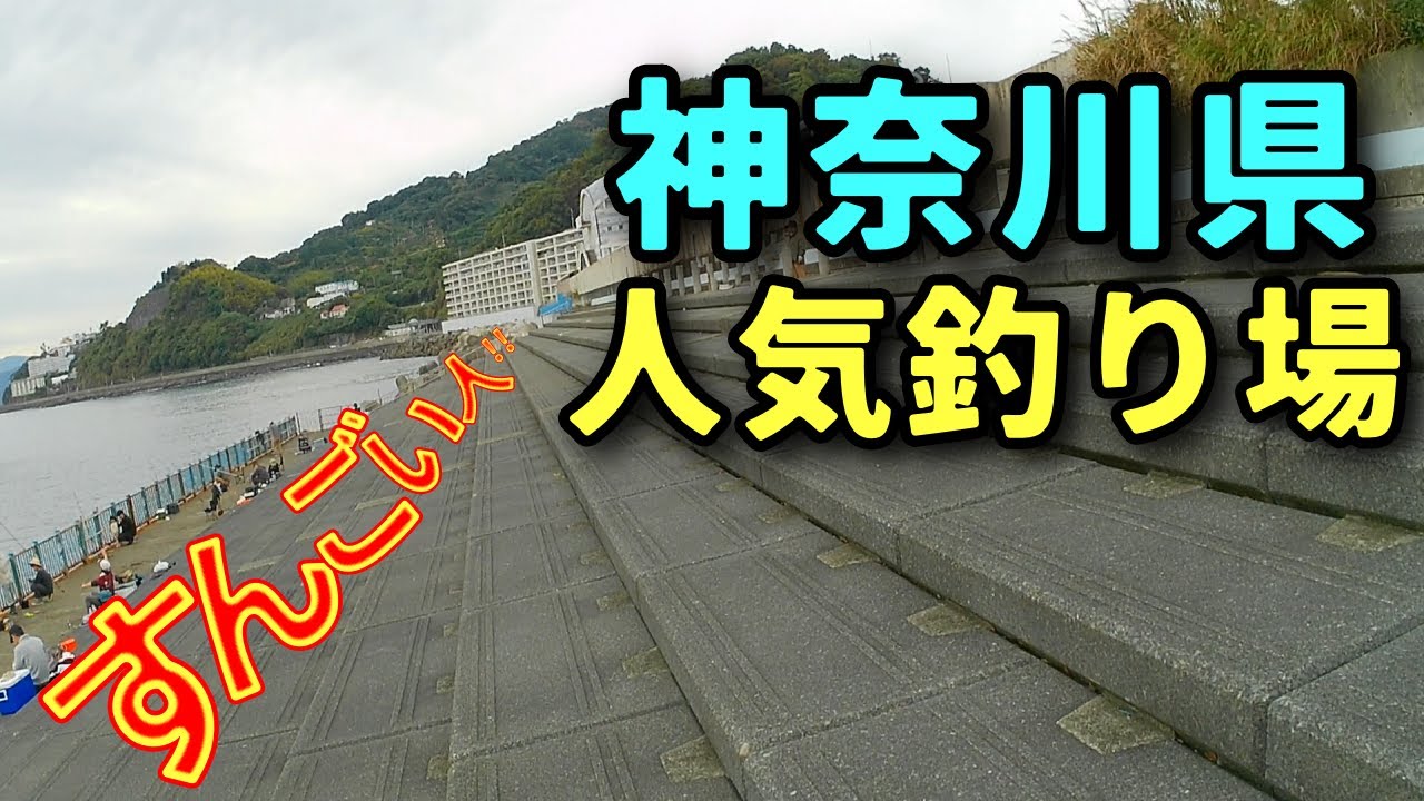 #102【堤防】有るもので作った適当仕掛けでメジナを釣る！
