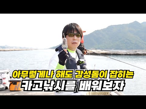 【카고낚시】감성돔을 타작하러 좌대에 왔습니다!