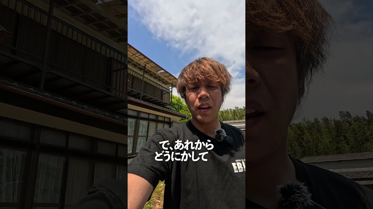 アリの巣を作られたアルテッツァ　#shorts