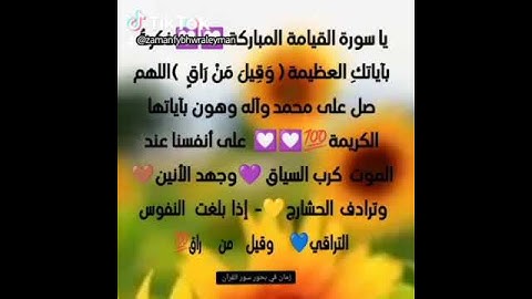 مشاعر وفوائد والحب في سور القرآن الكريم الحب لسورة القيامة #القرآن_نور_للقلوب_وشفاء_للصدور