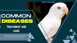 5 Common Lovebirds, Budgies and Cockatiel Diseases and their care and treatments screenshot 4