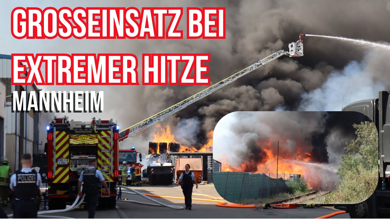 Dunkle Rauchwolke über Mannheim – Großbrand bei extremer Hitze -
