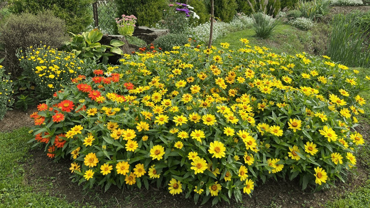 ЯК ЕФЕКТНО і ЯСКРАВО ОФОРМИТИ СТОВБУР ДЕРЕВА на обійсті?