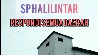 Download Lagu berbagi sp halilintar+ akau birahi, respon juga bagus MP3