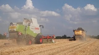 moisson de blé  2013 a 2 moissonneuse batteuse  claas vs new holland !