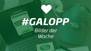 Die Bilder der Woche #galopp KW48/49
