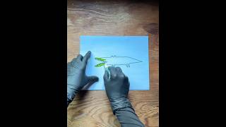 Coloring an Alligator