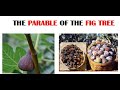 The Parable of the Fig Tree by Eddie Chumney ---- HHMI Discipleship Program