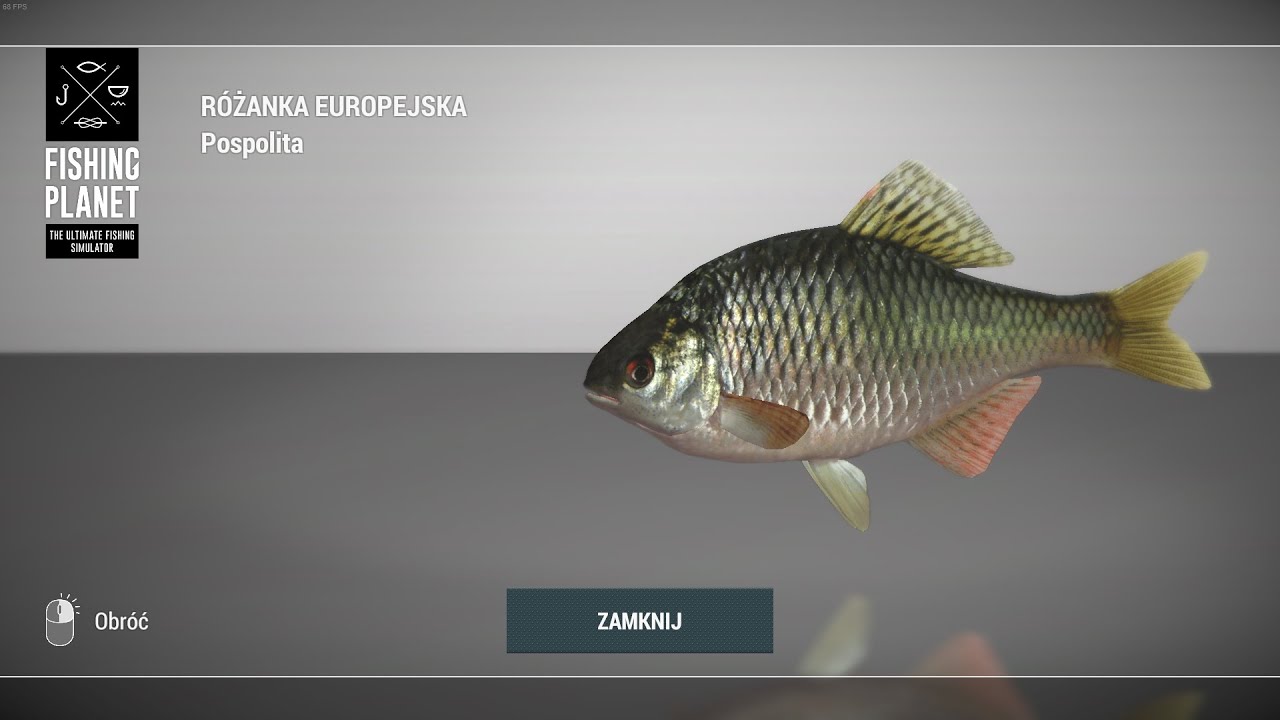 Fishing Planet Tiber River Italy European Bitterling | Różanka Europejska 