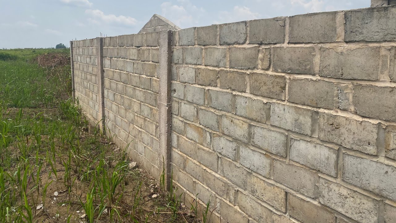 03/03/2026 SOMBA LUPANGU NA VRAI PLACE NA MINKAO CENTRE 20/40M PRIX 5000$ À DISCUTER📞+243996527894