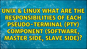 What are the responsibilities of each Pseudo-Terminal (PTY) component (software, master side,...