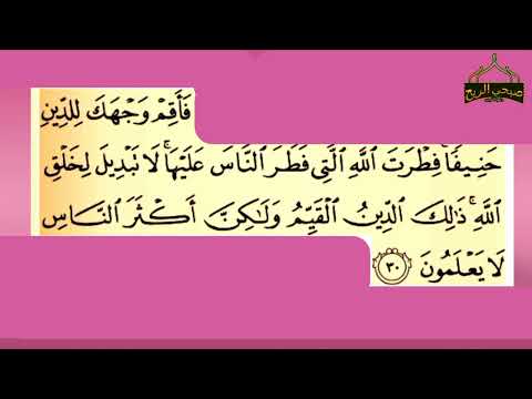 له سلم يا ولد القلب البنت ولد