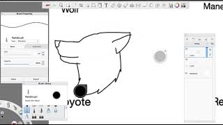 Canidae drawing steps
