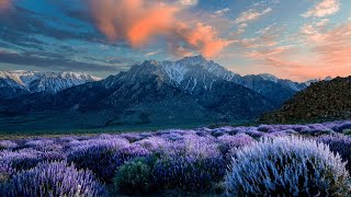 The Eastern Sierra Tour Americas Ultimate Road Trip Beyond The Limits